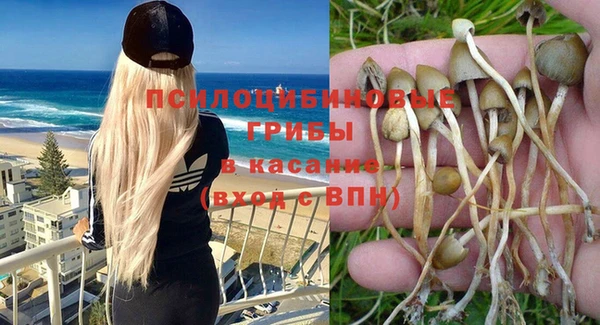 стафф Нягань