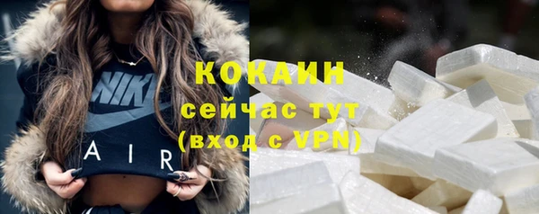 тгк Новозыбков