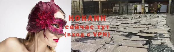 стафф Нягань