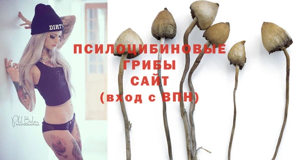 2c-b Воткинск