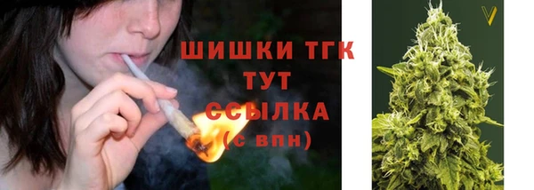 тгк Новозыбков