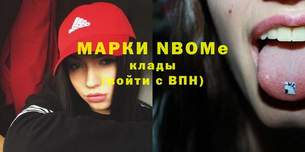 твердый Новокубанск