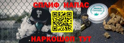 гашик Гагарин