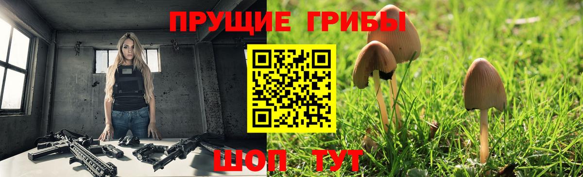 Котельники  Псилоцибиновые грибы Magic Shrooms  Вход с VPN 