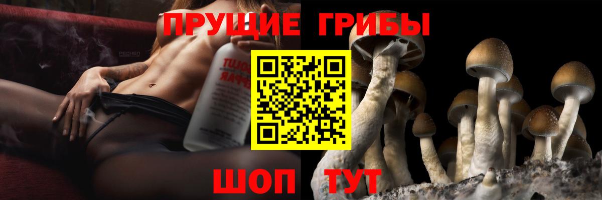 Псилоцибиновые грибы ЛСД Котельники