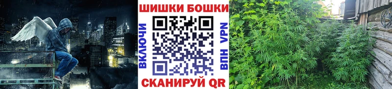 Конопля сатива  дарнет шоп  kraken ONION  Котельники 